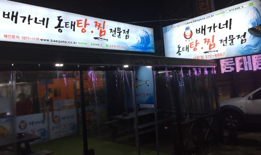 배가1.jpg